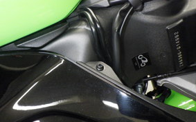 KAWASAKI NINJA ZX-6R A 2021 ZX636G
