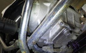 HONDA C50 SUPER CUB 2013 C50