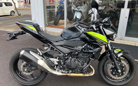 KAWASAKI Z250ABS EX250P