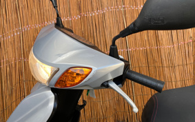 YAMAHA AKUSHI STREET SE53J