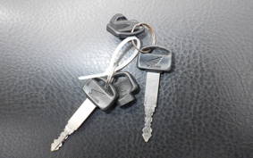 HONDA FORZA 250 S MF06