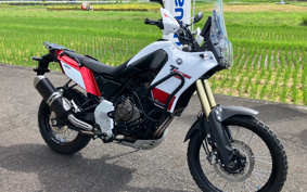 YAMAHA TENERE 700 2020 DM09J