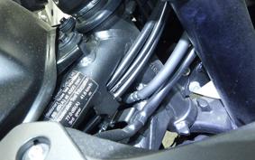 HONDA CBR400R 2024 NC65