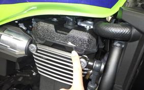 KAWASAKI ZRX1200 D 2017 ZRT20D