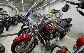 HARLEY FLSTF1340-1450 2016 BXV