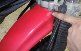 KAWASAKI SUPER SHERPA 2020 KL250G