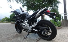SUZUKI GLADIUS 650 2010 CX111