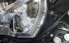 HARLEY FXSTC 1580 2009