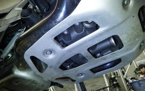 BMW R1300GS 2024