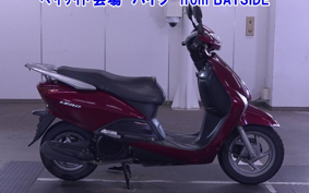 OTHER  LEAD 110EX