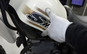 KAWASAKI SUPER SHERPA KL250G