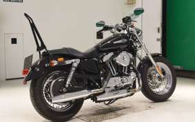 OTHER +HD. XL1200C-I 2011