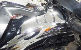 KAWASAKI W800 2011 EJ800A