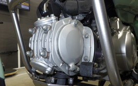 HONDA CT125-2 2024 JA65