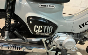 DUCATI DIAVEL DIESEL 2017 GC00