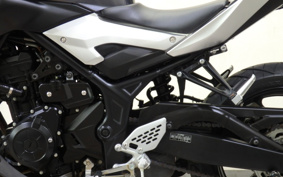 YAMAHA MT-25 RG10J