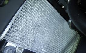 KAWASAKI NINJA 250 EX250L