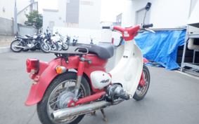 HONDA LITTLE CUB C50