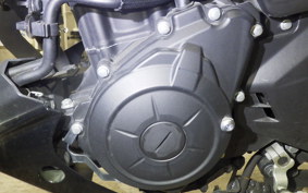 YAMAHA MT-25 RG43J