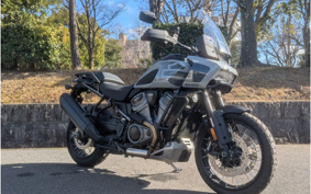 HARLEY PAN AMERICA 1250 SPECIAL 1994 ZES