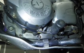 KAWASAKI SUPER SHERPA 2023 KL250G