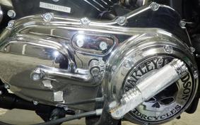 HARLEY L1200LI 2010