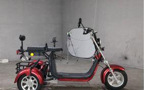 OTHER DENDOU TRIKE  ..