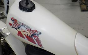 YAMAHA TY250 R 3BB