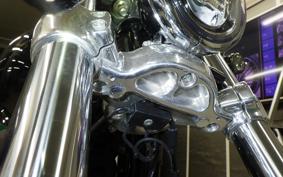 HARLEY FXBR1920 2025