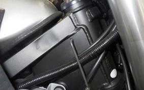 KAWASAKI KLX250D TRACKER X LX250V