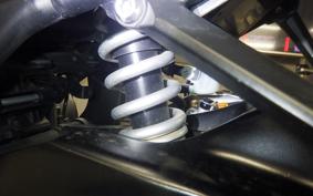 YAMAHA YZF-R25 1997 RG10J
