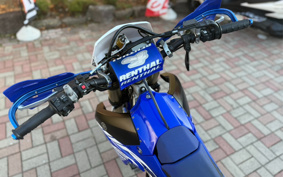 YAMAHA WR250F CG35