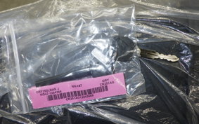 HONDA CRF250L 2021 MD47
