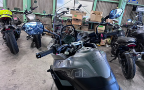 TRIUMPH TIGER SPORT 800 2026 L25P18