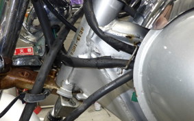 HONDA MAGNA 50 2024 AC13