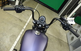 HARLEY FXBB1920 2026