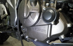 SUZUKI Vｽﾄﾛｰﾑ250SX 2012 EL11L