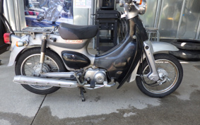HONDA LITTLE CUB AA01
