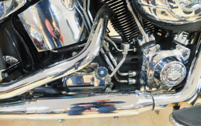 HARLEY FLSTC 2012 BW5
