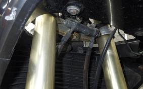 KAWASAKI ZXR250 2017 ZX250A