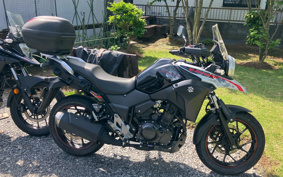 SUZUKI STROM 250ABS DS11A