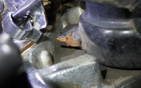 YAMAHA DRAGSTAR 1100 2007 VP13J