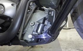 HARLEY RH975 2023