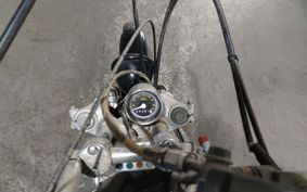 YAMAHA VIRAGO 250 3DM