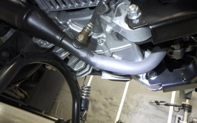 YAMAHA CYGNUS Griffus SEJ4J