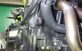 KAWASAKI Z900 Gen.2 2021 ZR900B