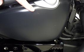 HARLEY XL883N 2021