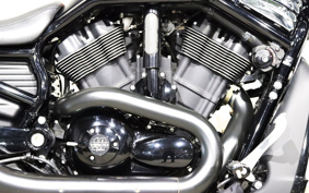 HARLEY VRSCDX 2012 HHH