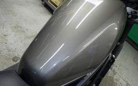 HONDA REBEL 250 S 2008 MC49