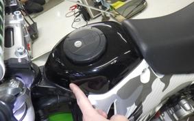 KAWASAKI KLX250D TRACKER LX250E